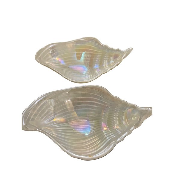 Sea shell - Picture 1 of 4